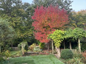 Lagham Park South Godstone
